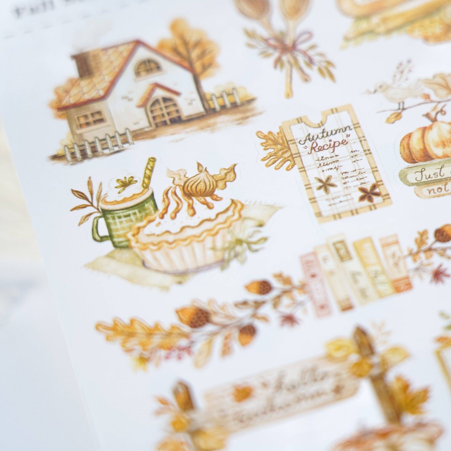 Sticker Sheet - Lovely Fall Season: Textured