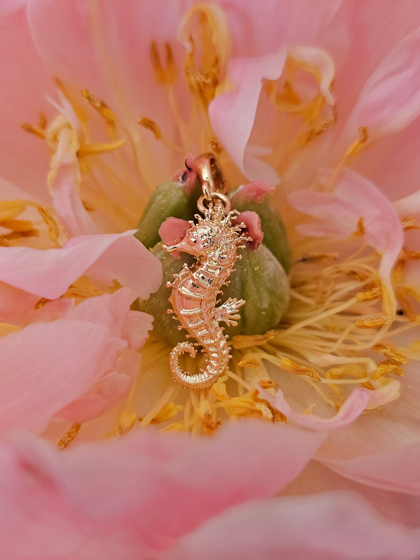 Rockpool Seahorse Charm