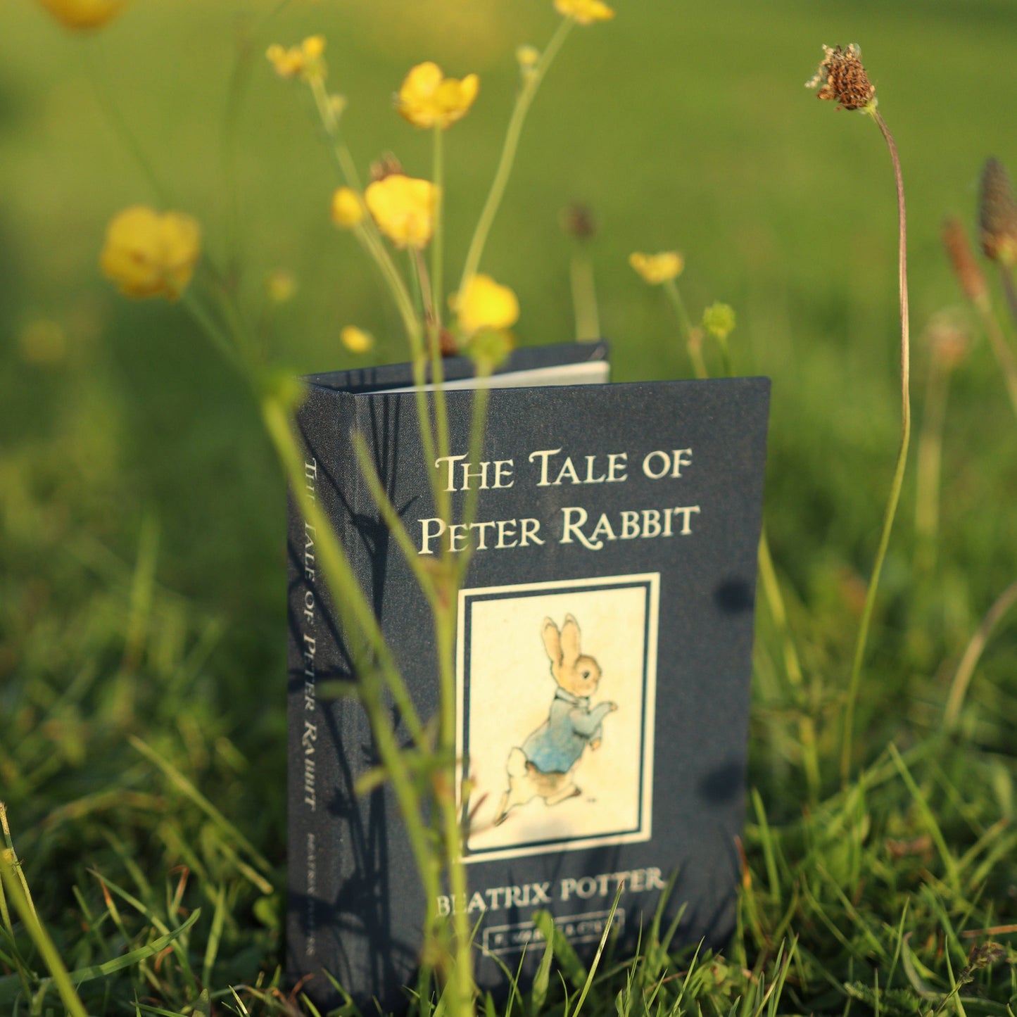 Pass/Notat Lommebok: The Tale of Peter Rabbit by Beatrix Potter 1902 - Tea & Fables