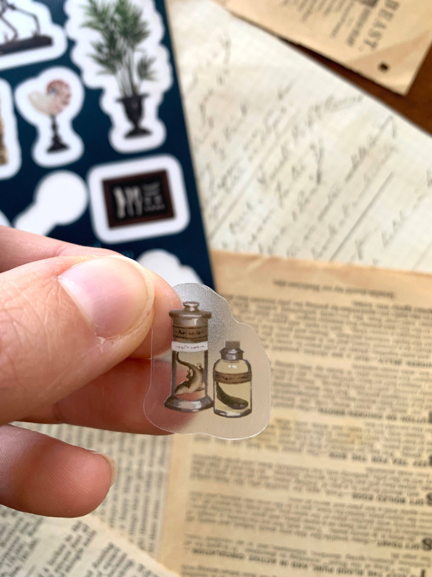 The Natural History Museum Clear Vinyl Sticker Sheet