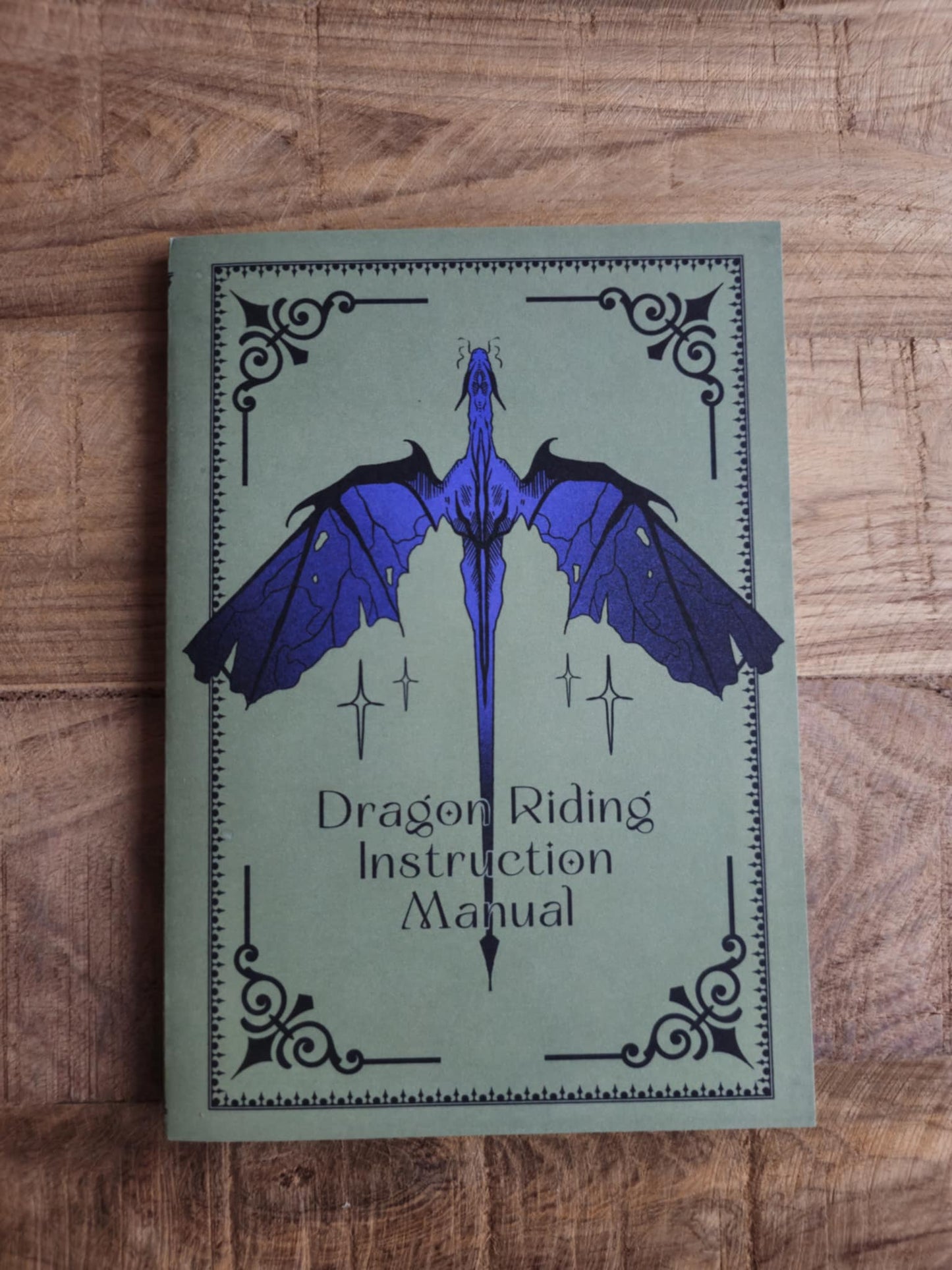 Dragon Riding Instruction Notatbok: Linjert