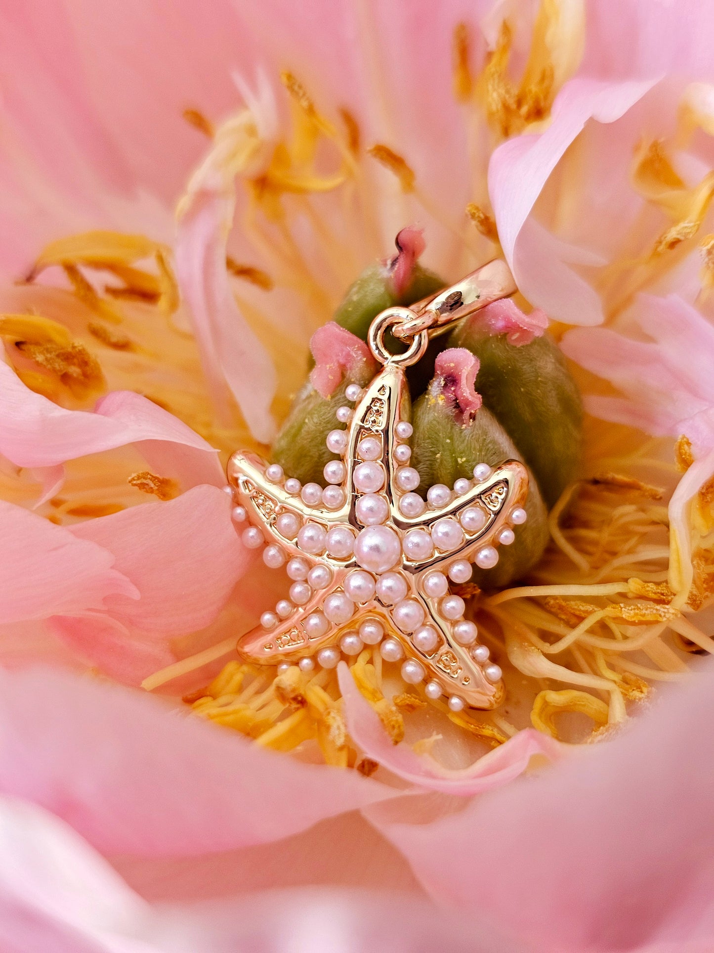 Rockpool Starfish Charm