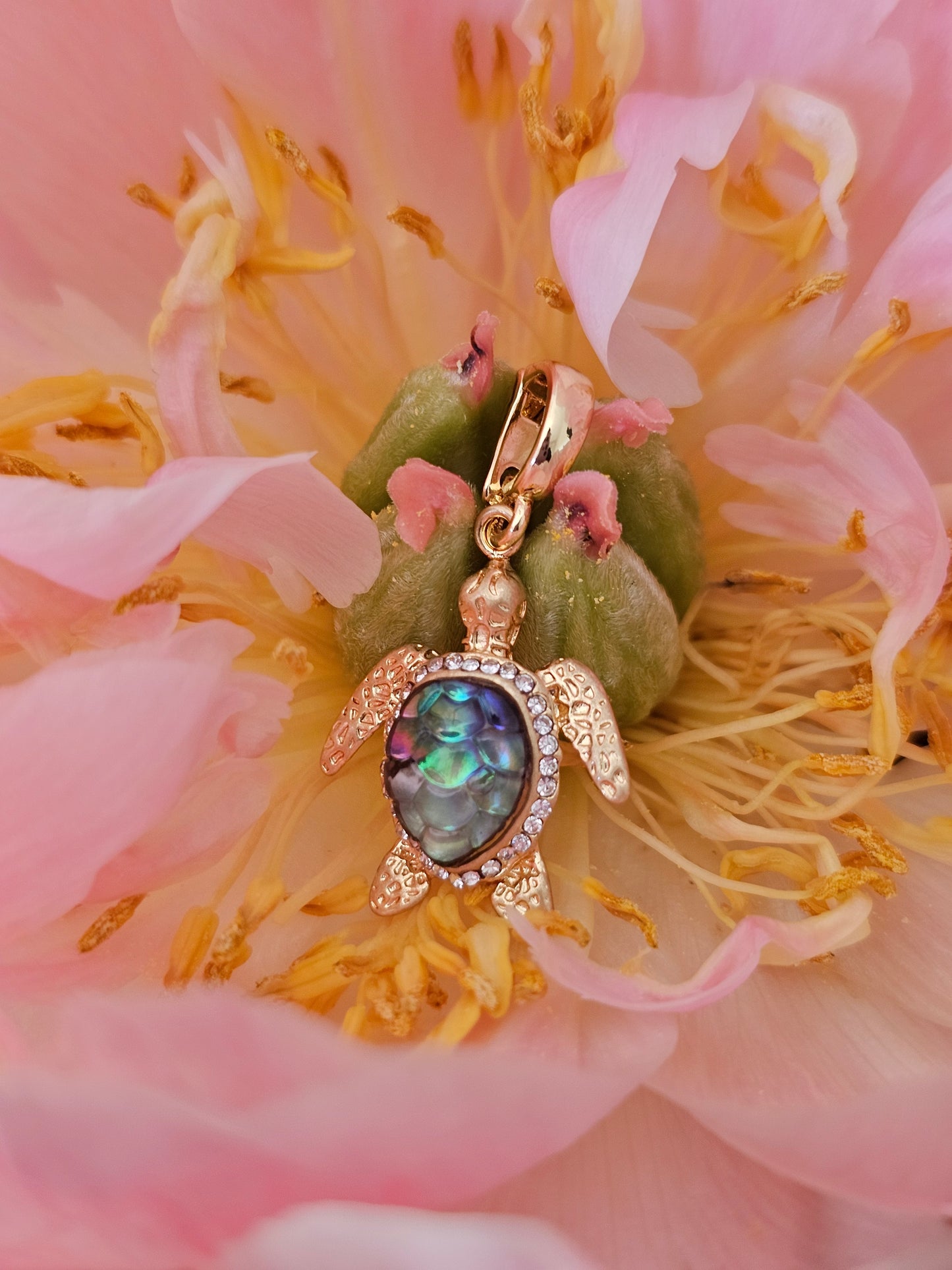 Rockpool Turtle Charm